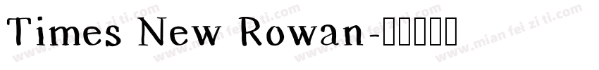 Times New Rowan字体转换
